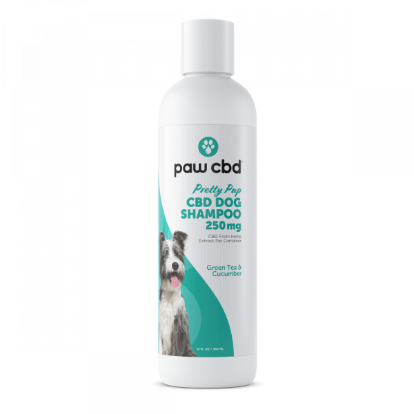 Best CBD Shampoo for Pets