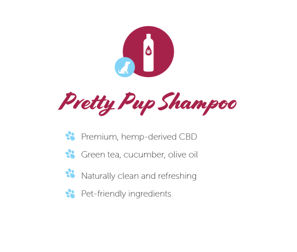 Best CBD Pet Shampoo